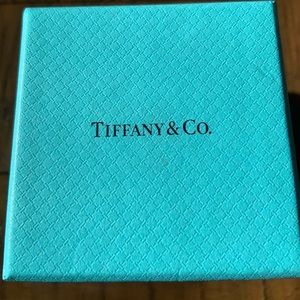 Beautiful Tiffany Co. White Gold wedding band